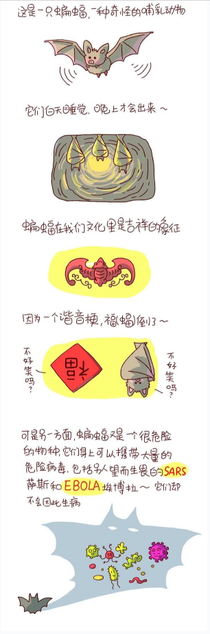 addf2c70b8194c3ca244f9daea5f7199.png